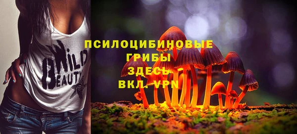PSILOCYBIN Абинск